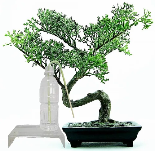 Miniatura 3 de Richson Barra de riego automático DB, herramienta de riego automático de dos semanas para árboles bonsái, 4 unidades/paquete