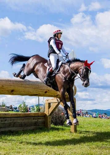 Miniatura 7 de Kerrits Pantalones ecuestres GripTek II para mujer Asiento adhesivo para montar a caballo, agarre máximo para eventos, doma