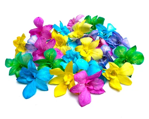 Miami Fresh Orchid Flower OrchidClub USA Sunne Tropical Loose Bloom Head DIY Lei Food Drink Decoración multicolor (50 caramelos)