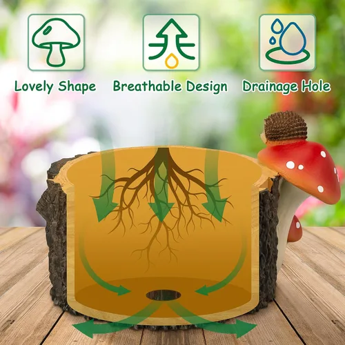 Miniatura 4 de Macetas para Suculentas con Forma de Erizo con Orificio de Drenaje, Macetas para Plantas de Interior/Cactus/Suculentas, Maceta de Interior Regalo