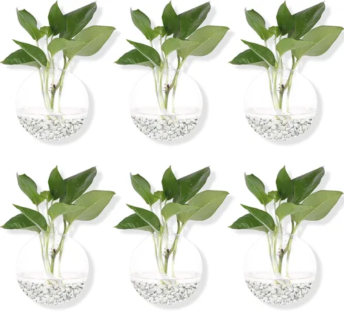 Miniatura 3 de Macetas colgantes de pared, paquete de 6 macetas de vidrio para plantas, jarrones redondos de pared para flores, estación de propagación colgante
