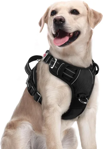 Miniatura 31 de rabbitgoo Arnés para perro de tamaño pequeño, chaleco para perro sin tirones con 3 hebillas, arnés ajustable y acolchado suave para mascotas con asa
