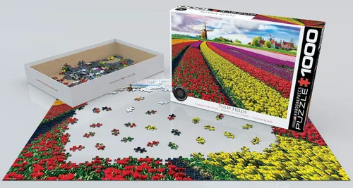Miniatura 3 de EuroGraphics