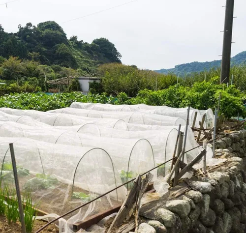 Miniatura 4 de Barrera de plagas de red de jardín: 10'x20' Red fina para protección del jardín, cubierta de hilera de malla elevada mosquitera de malla
