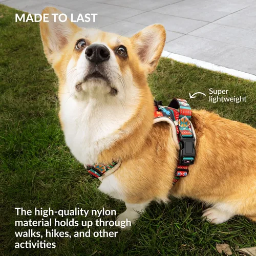 Miniatura 5 de CollarDirect Arnés reflectante sin tirones para perro, con asa y clip frontal, chaleco acolchado suave ajustable para perros pequeños a grandes