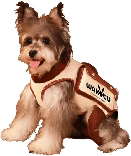 Miniatura 21 de Wakytu Arnés de elevación para perro, arnés VES ajustable para perro, correa ajustable para perro con bolsa pequeña para golosinas para cachorros