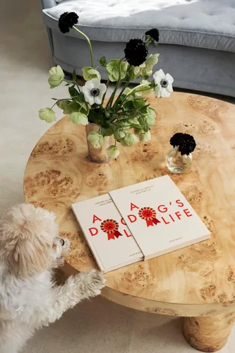 Miniatura 7 de Life of a Dog by Printworks