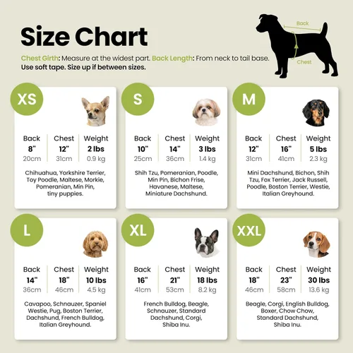 Miniatura 2 de Fitwarm - Paquete de 3 camisas con bloques de color a rayas para perros, ropa de verano para perros pequeños, camiseta ligera y transpirable