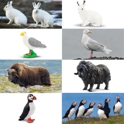 Miniatura 4 de Toymany Juego de 14 mini figuras de animales árticos, juguetes de animales polares con oso polar, caribú, pingüino, morsa, lobo, figuras