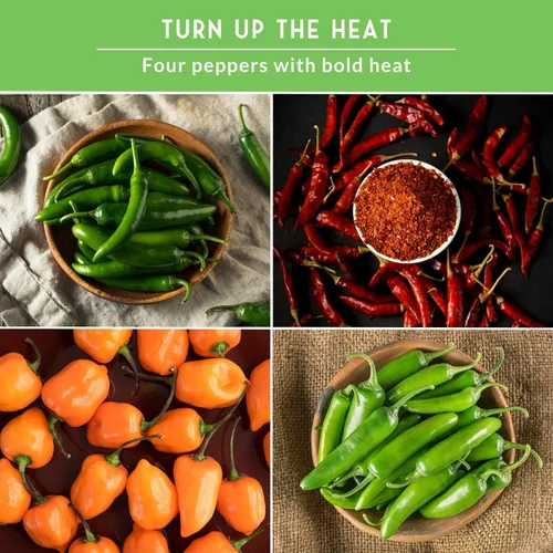 Miniatura 4 de Paquete variado de semillas de pimiento picante para plantar 4 variedades: jalapeño, serrano, cayena y habanero – chiles tradicionales picantes