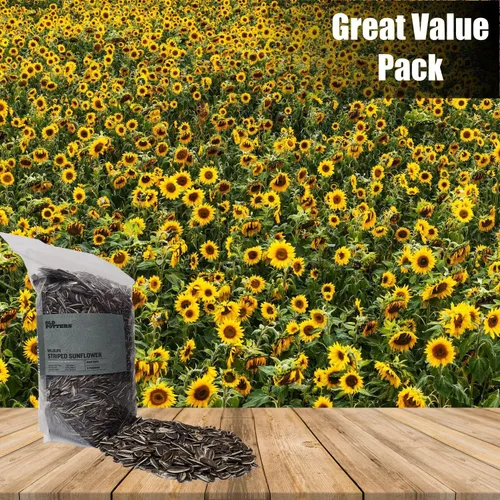 Miniatura 7 de Old Potters Wildlife - Semilla de girasol a rayas para alimentación de aves silvestres, sin OMG y cultivada en granja pequeña de EE. UU., 6 libras