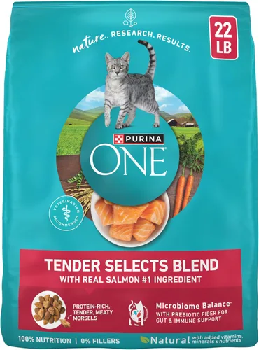 Purina ONE Alimento seco natural para gatos, mezcla Tender Selects con salmón real, bolsa de 22 libras
