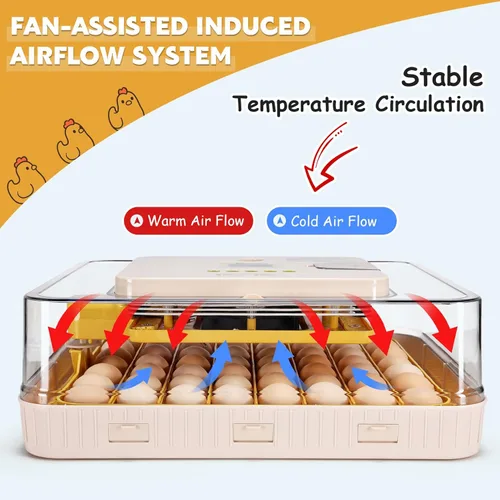 Miniatura 2 de Sailnovo Incubadora de 56 huevos para incubar huevos con giro automático de huevos y humidificación automática, vela de huevos, control de Blanco