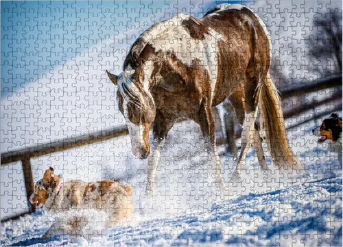 Miniatura 8 de MyPuzzle American Paint Horse On Snow - Rompecabezas de 100 piezas para adultos