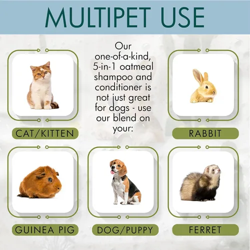 Miniatura 5 de Pro Pet Works 5 en 1 Loción acondicionadora de manteca de cacao Deja En para perros y gatos - Crema/Bálsamo para manchas calientes para alergias