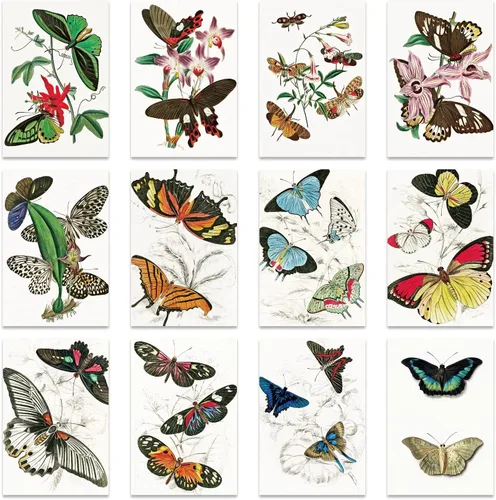 Berkin Arts Paquete de 12 tarjetas de felicitación de arte clásico para todas las ocasiones con 12 sobres, flores y mariposas con diseños varios,