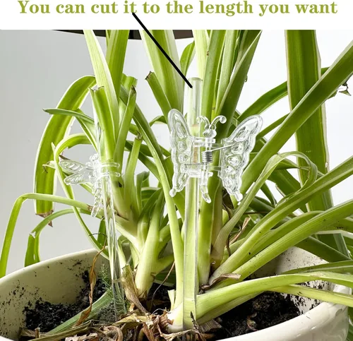 Miniatura 4 de 30 estacas acrílicas para plantas de jardín de un solo tallo para plantas, estacas transparentes para orquídeas y 30 clips de soporte para plantas