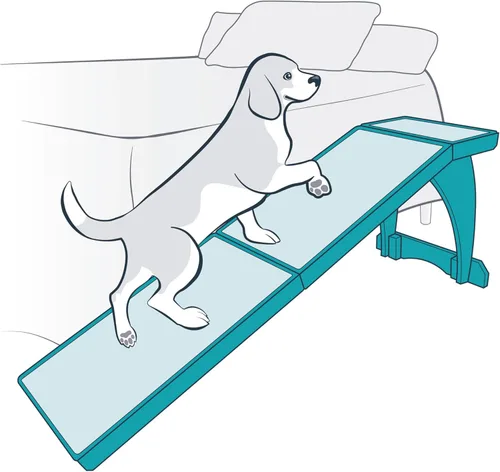 Miniatura 4 de PetSafe CozyUp Rampa para Cama - Apoya la Espalda y Articulaciones de las Mascotas - Superficie de Alfombra de Alta Tracción - Madera Grado Mueble