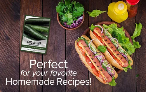 Miniatura 4 de Gardeners Basics, Marketmore 76 - Semillas de pepino para plantar - Cucumis sativus Heirloom, variedad de vegetales sin OMG, semillas de 0.04 oz