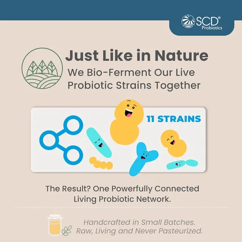 Miniatura 6 de SCD - Probióticos esenciales para mujeres, hombres, niños y niños pequeños, probióticos vivos para la digestión y la inmunidad, suplemento