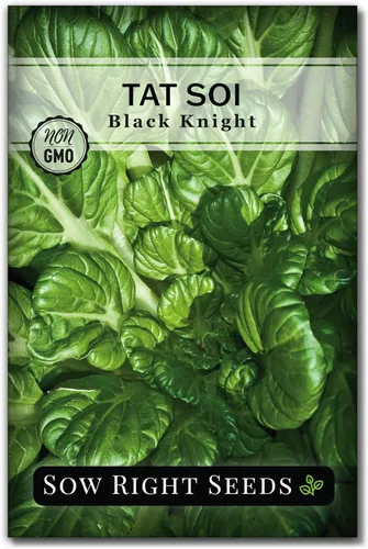 Sow Right Seeds - Semillas Black Knight Tat SOI para plantar - Paquete de reliquia sin OMG con instrucciones para plantar un huerto casero - Mostaza