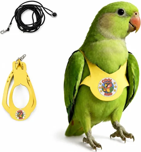 Miniatura 23 de Juego de arnés ajustable y correa para pájaros pequeños, apto para periquitos, conures, cacatúas, mejillas verdes, loros cuáqueros (verde, XS) 6350-6