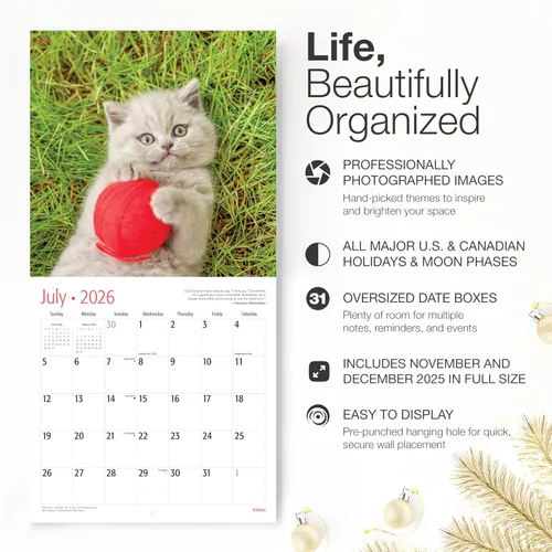 Miniatura 2 de RED EMBER Select - Calendario de pared de gatitos 2026 de 12 meses 12 x 24 pulgadas abierto papel grueso y resistente regalo de vacaciones