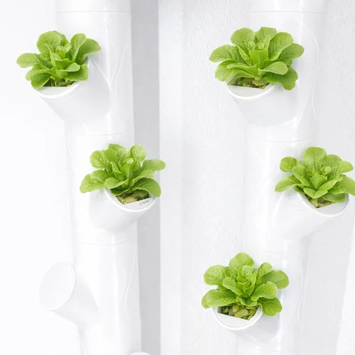 Miniatura 6 de EBaokuup 12 cubos de cultivo para sistema hidropónico, cubos de cultivo hidropónicos compatibles con yCube, cubo de cultivo reutilizable
