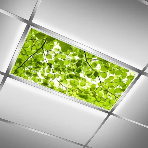 Miniatura 8 de 2 cubiertas de luz fluorescente para luces de techo, cubiertas magnéticas de luz de hojas de primavera con 10 imanes, filtros de luz fluorescentes