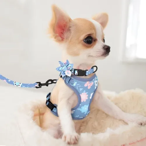 Miniatura 5 de Beirui Collares, arneses y correas para perritas adorables - Juego de collar y correa ajustable para perros con flor - Arnés de chaleco de malla