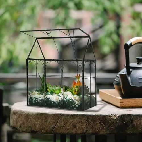 Miniatura 3 de Vidrio de terrario para invernadero de plantas grandes y altas con tapa, 8.7 x 5.9 x 10.6 pulgadas, kit de terrario de cactus suculentos