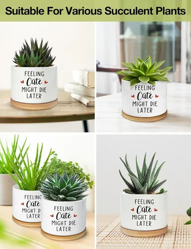 Miniatura 7 de Feeling Cute Might Die Later - Maceta de cerámica grabada para suculentas, aloe y cactus, divertidas macetas de interior con bandeja de bambú