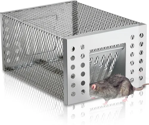 1 trampa humana para ratas, trampa de ardilla viva para interiores y exteriores, pequeños roedores, ratones, ratones, ratones, hámsters, ardilla,