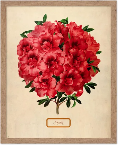 Miniatura 39 de Poster Master Póster Vintage de Plantas Cultivadas - Impresión Botánica Retro - Arte de Flores - Arte de Plantas - Regalo para Hombres y Mujeres