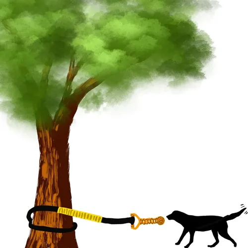 Miniatura 9 de Juguete elástico para perros de 20.35 pies con cuerda interactiva reforzada con dos recambios de repuesto, juguetes interactivos para perros