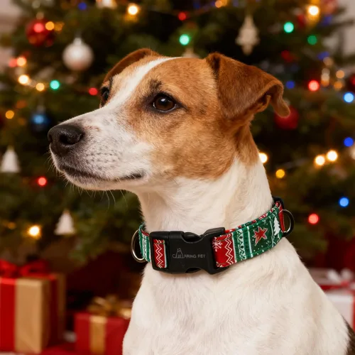 Miniatura 5 de ARING PET Collar de Navidad para perro, lindo collar de copos de nieve populares rojo y verde con hebilla de liberación rápida para cachorros
