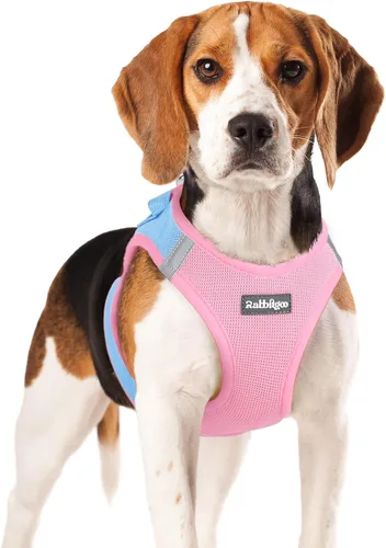 Miniatura 11 de rabbitgoo Arnés para perro pequeño, chaleco de malla suave para cachorros con hebilla de seguridad, arnés reflectante transpirable para mascotas