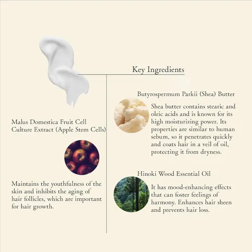 Miniatura 8 de Set de champú y acondicionador para el cabello seco
