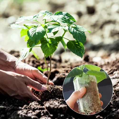 Miniatura 5 de GREANER 200 bolsas de vivero de plantas, 3.5 x 4.7 pulgadas, bolsas de cultivo de plantas de tela biodegradable no tejida, macetas de plantas