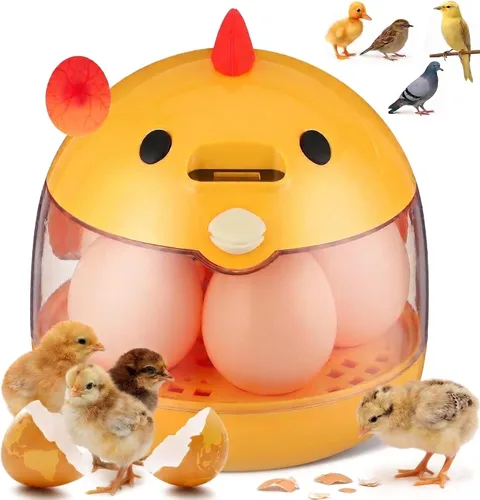 Abaodam Incubadoras para incubar huevos, pequeña incubadora de huevos de pollo con control automático de temperatura y vista de 360°, criador