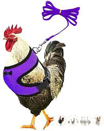 Miniatura 9 de Juego de arnés y correa para pollo, malla ajustable, transpirable, arnés de entrenamiento de pato, correas para mascotas, correas para ganso, Azul