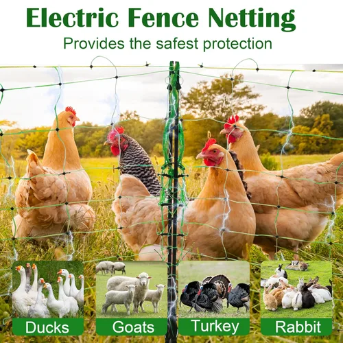 Miniatura 2 de Red eléctrica para cerca, red eléctrica para aves de corral de 35.5 pulgadas x 164 pies con postes de fibra de vidrio y estacas de doble pincho