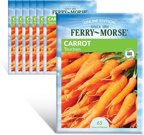 Miniatura 4 de Ferry-Morse Online Edition Tomato Supersweet 100 semillas híbridas – Alta tasa de germinación, sin OGM – Paquete de 8 Tomato Supersweet 100 Hybrid