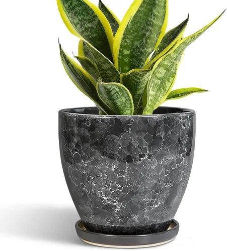 Miniatura 40 de Maceta para Plantas de 6.8 Pulgadas - Maceta de Cerámica con Orificio de Drenaje y Platillo, Maceta Redonda Moderna para Flores, Macetas