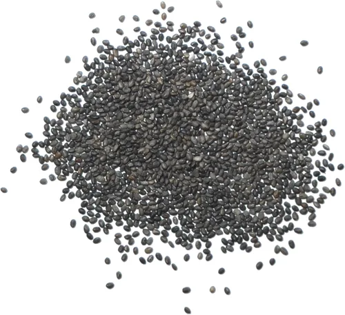 Miniatura 6 de Seed Needs Semillas de salvia azul zafiro para plantar, reliquia y salvia polinizada abierta, cultiva un jardín de mariposas con plantas con flores