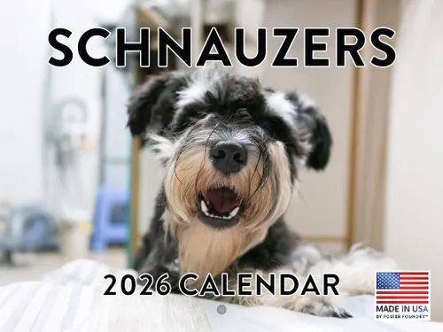 Miniatura 33 de Calendario de pared mensual 2025 Great Dane de 12 meses, fabricado en Estados Unidos