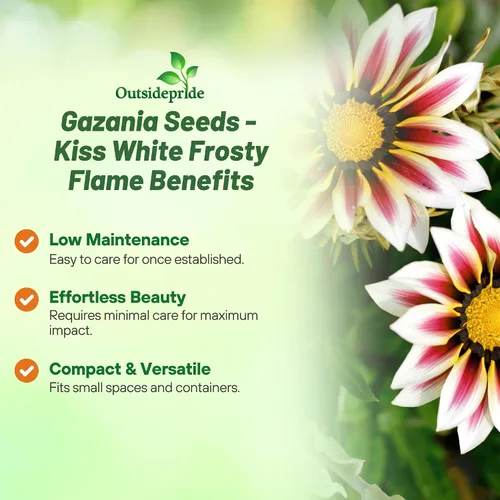 Miniatura 3 de Outsidepride Kiss White Frosty Flame Gazania Semillas para plantar, 25 piezas de semillas perennes, de bajo mantenimiento, tolerantes a la sequía