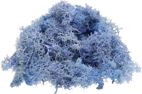 Miniatura 18 de uxcell Musgo de reno preservado, musgo falso de 4 onzas para manualidades, musgo seco artificial para decoración, manualidades, terrarios, plantas