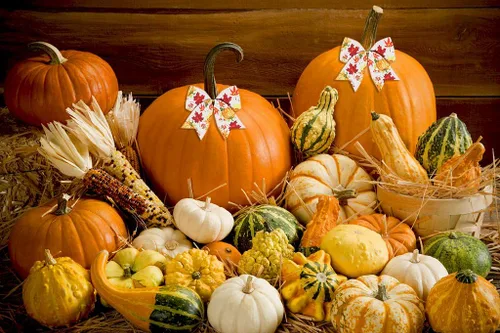 Miniatura 3 de Estivaux Cintas de otoño para manualidades y envoltura de regalos, borde con alambre de Acción de Gracias, color naranja, lazo de buralp natural
