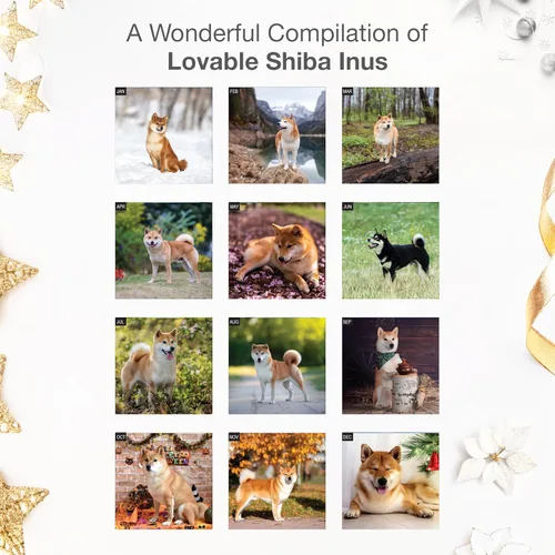 Miniatura 3 de RED EMBER Shiba Inus - Calendario de pared 2026 de 12 meses 12 x 24 pulgadas abierto Papel grueso y resistente Regalo de vacaciones Lindo